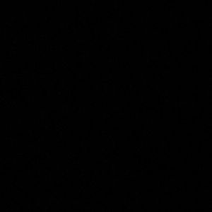 Meet your Posher, Jose